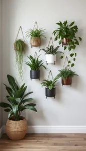 Balance plant placement