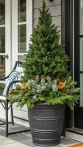 Choose Hardy Winter Greenery