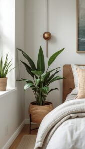 Choose easy care plants