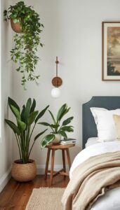 Choose easy care plants