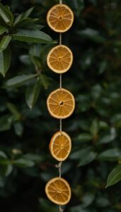 Make dried orange or fruit garlands