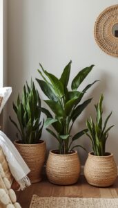 Mix planters with natural textures