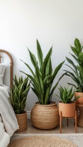 Mix planters with natural textures