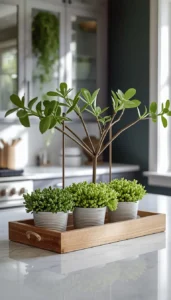 Place greenery near natural light