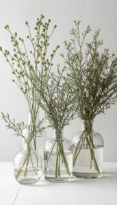 Style With Glass Containers