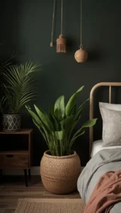 Use natural planters