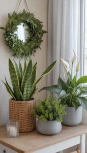 Add Low Maintenance Plants