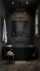 Dark Shower and Tub Design
