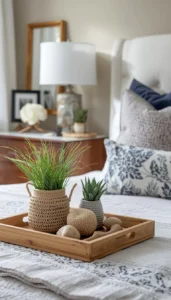 Introduce Natural Accessories