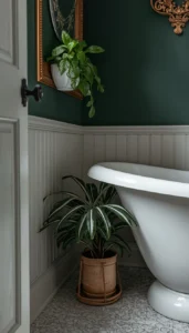 Use ceramic or clay pots