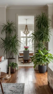 Use plants as soft dividers