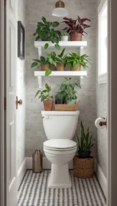 Choose low light plants