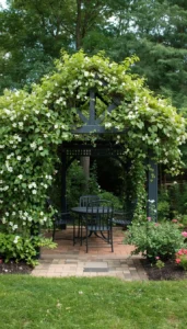 Grow climbing vines on gazebo posts