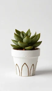 Add Small Geometric Details