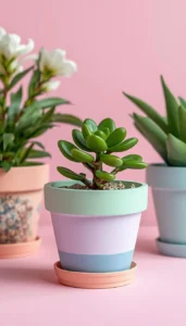 Choose Gentle Color Shades