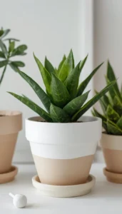 Choose Soft Neutral Shades for Everyday Styling