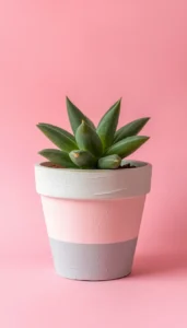 Combine Pastel Color Blocking