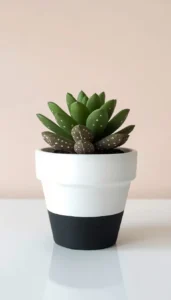 Minimal Mini Flower Pots for a Clean and Modern Look