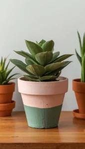 Minimal and Modern Painted Pots for a Clean Look