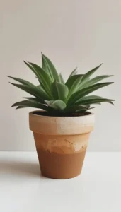 Use Earthy Color Tones