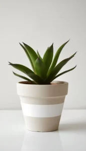 Use Neutral Base Colors with Simple Patterns