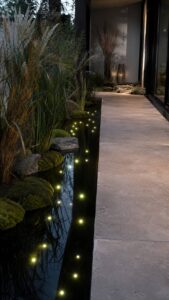 Float Low Lights Over Dark Water
